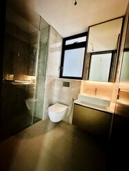 Irwell Hill Residences (D9), Apartment #467601871